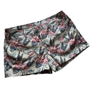 Market & Spruce Shorts